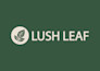 design professional startup, wordmark, and tech logo with redesign service